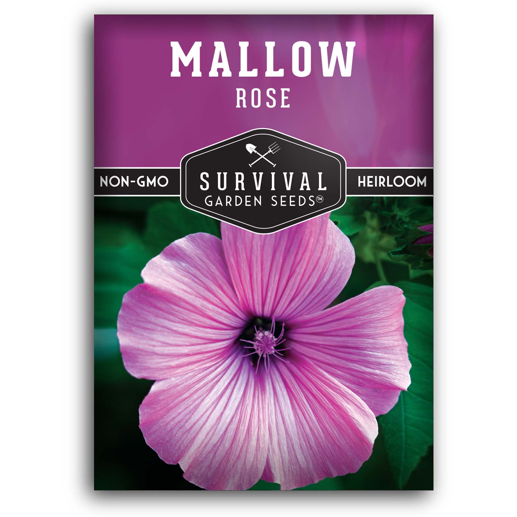 pink rose seeds Survival Garden Seeds - Rose Mallow Seed for Planting
