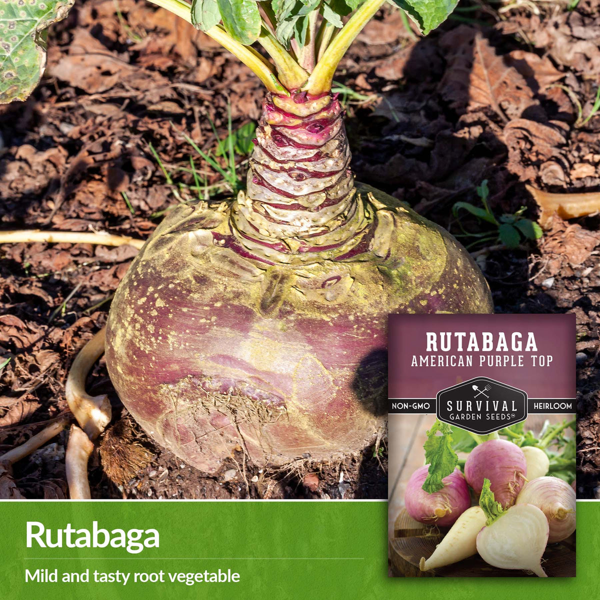 Rutabaga are a mild and tasty root vegetable