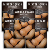 Butternut Squash Seed Packets - quantity 5