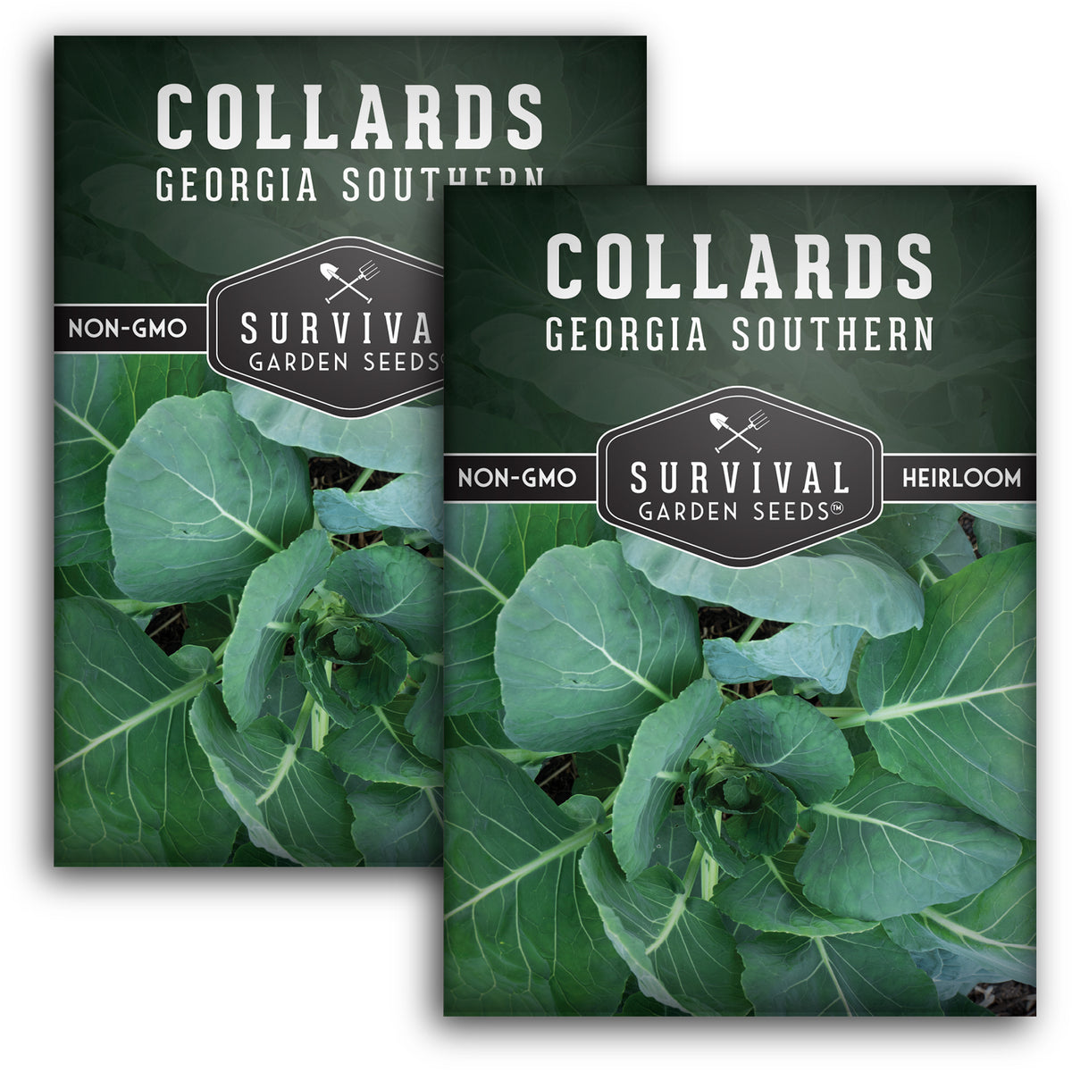 Georgia Southern Collard Greens Seed
