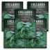 5 Packets of Georgia Southern Collards seeds