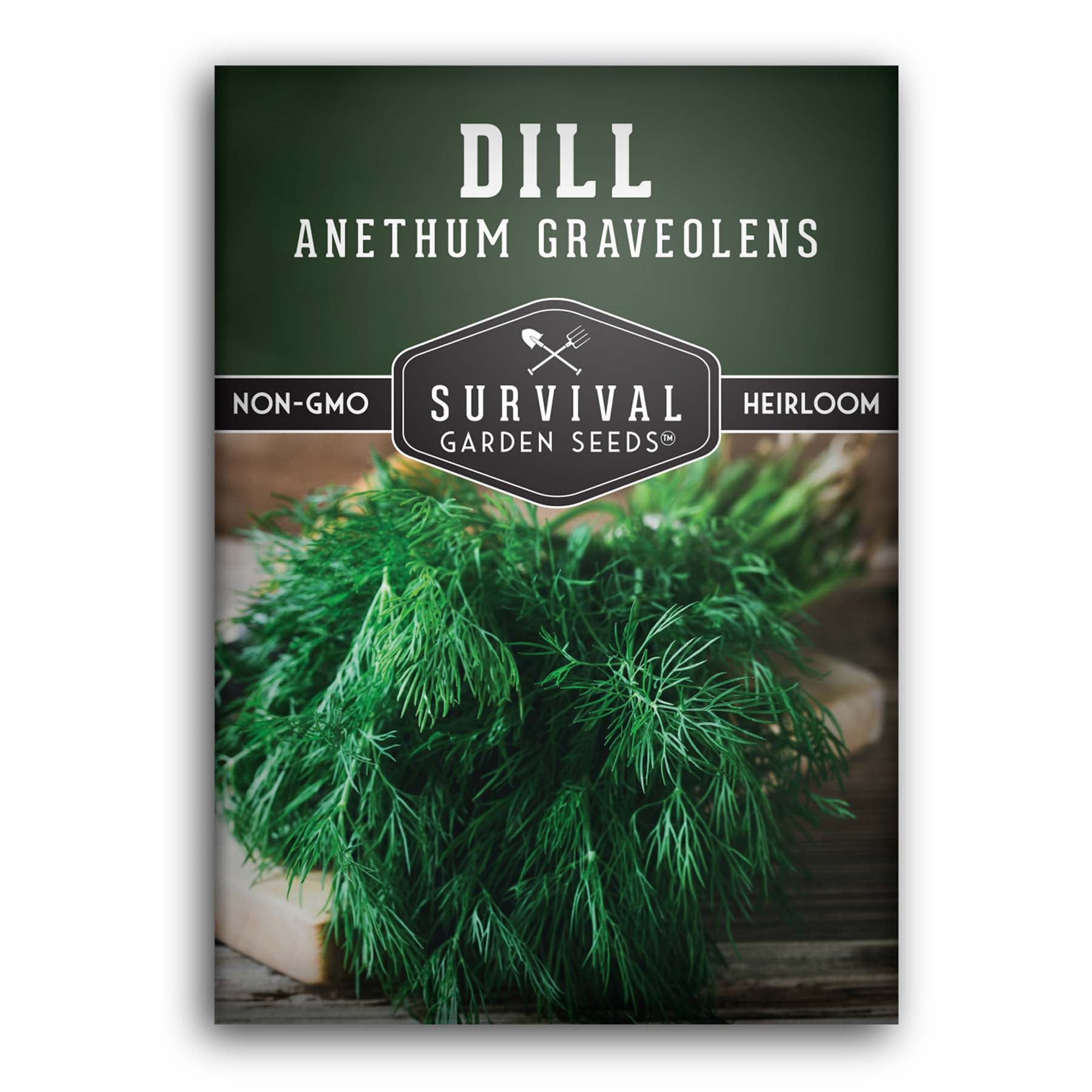 Heirloom Dill Seeds for planting