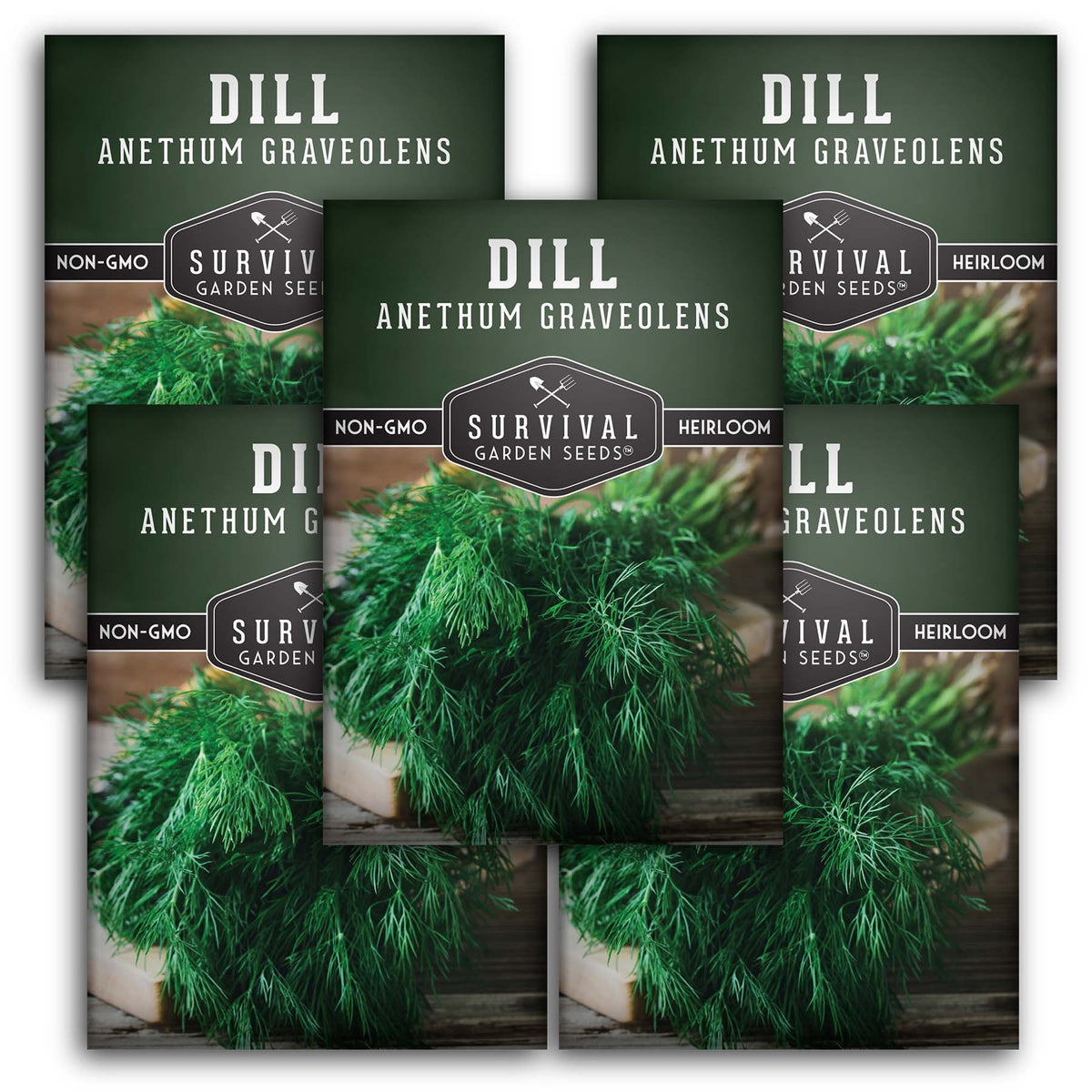 Dill Seed Packets - quantity 5
