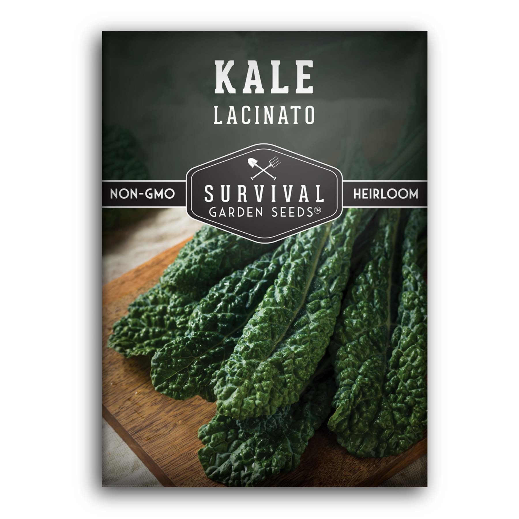 Lacinato Dinosaur Kale Seeds for planting