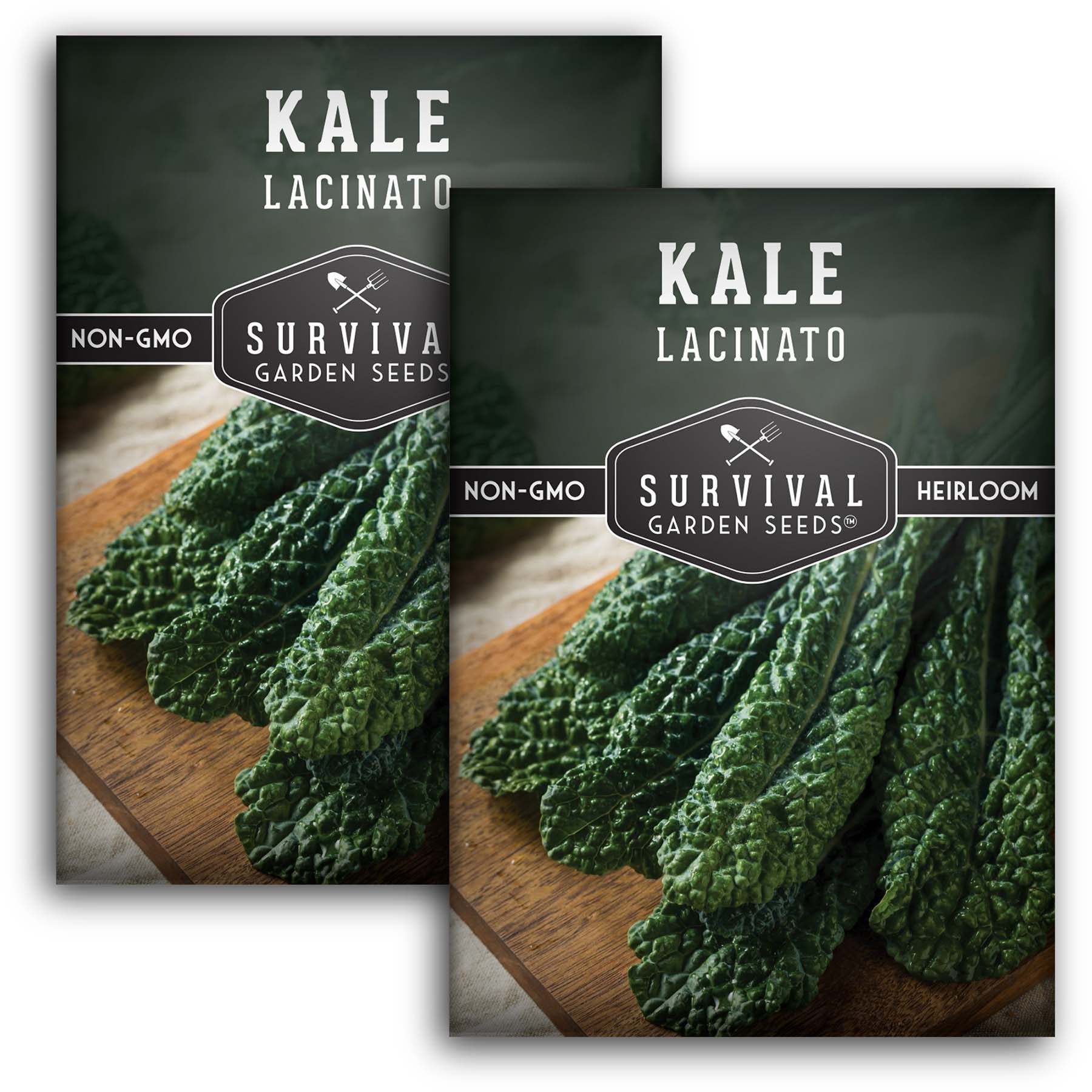 Survival Garden Seeds Lacinato Kale Seeds - Thumbnail 4