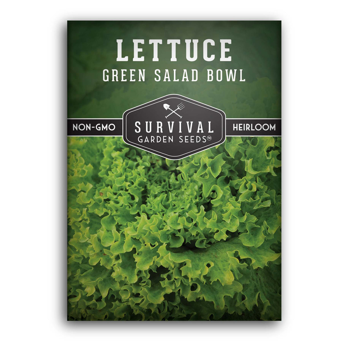 Green Salad Bowl Lettuce Seed