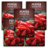 Marconi Red Pepper Seed