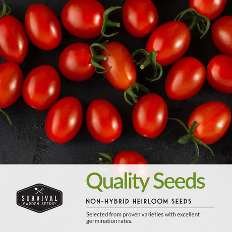 quality non-hybrid heirloom seeds