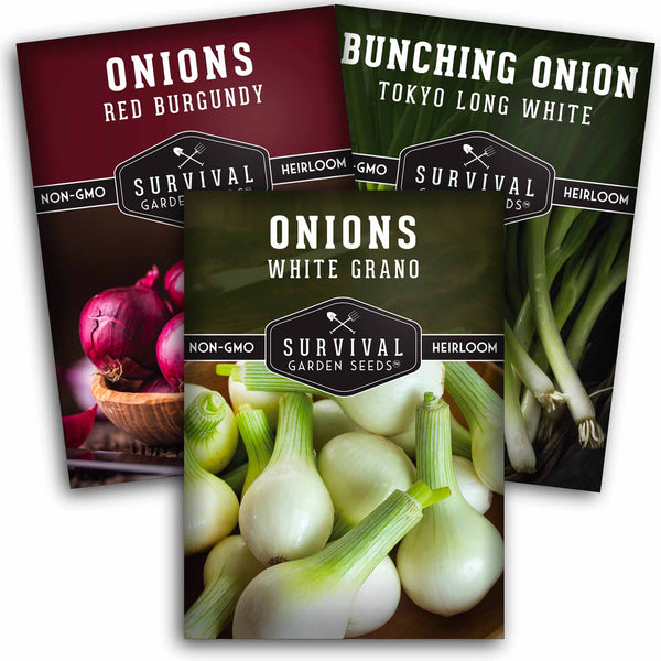 Short-Day-Onion-Collection-