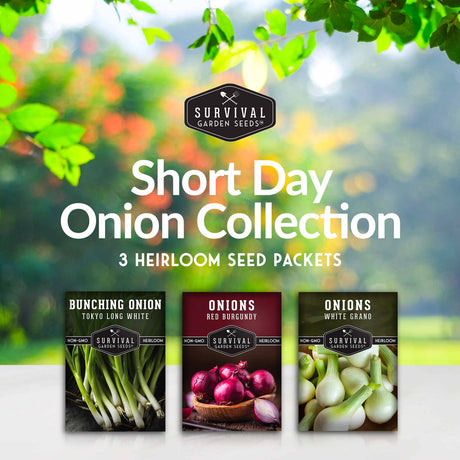 Short Day Onion Collection - 3 heirloom seed packets