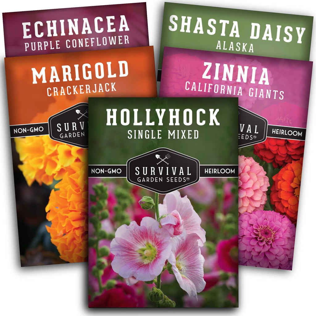 Five Flower Collection - Hollyhock, Shasta Daisy, Coneflower (Echinacea), Marigold, Zinnia