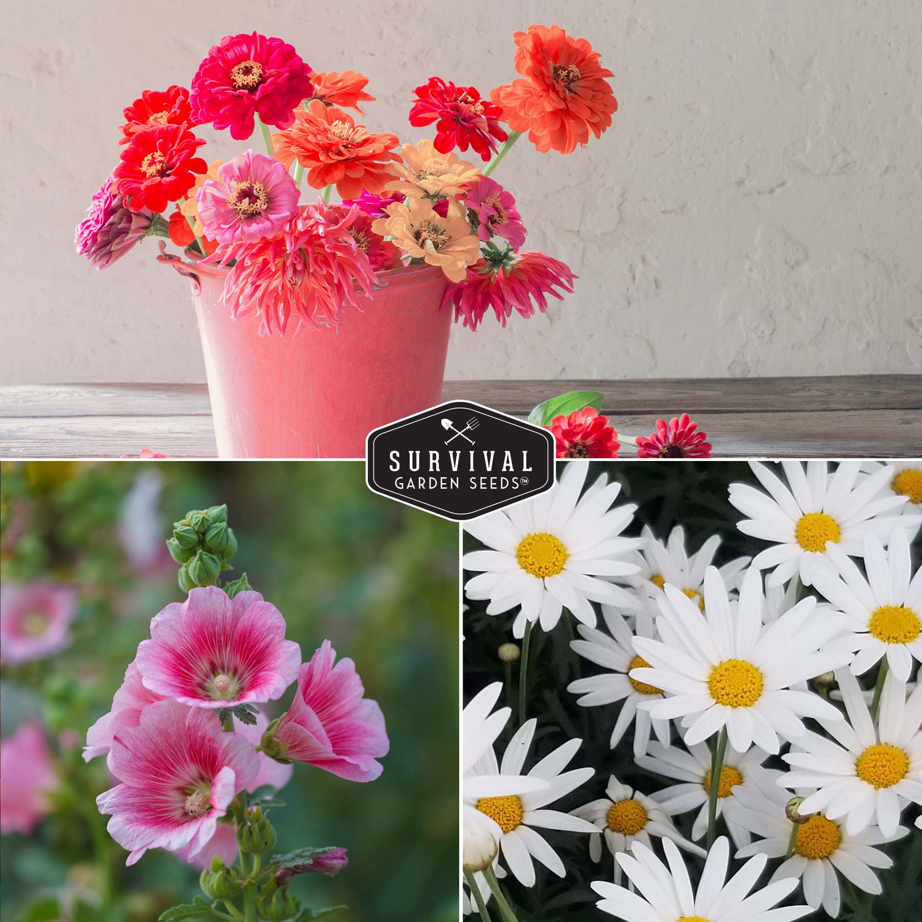 5 Flower Heirloom Seed Collection – SurvivalGardenSeeds