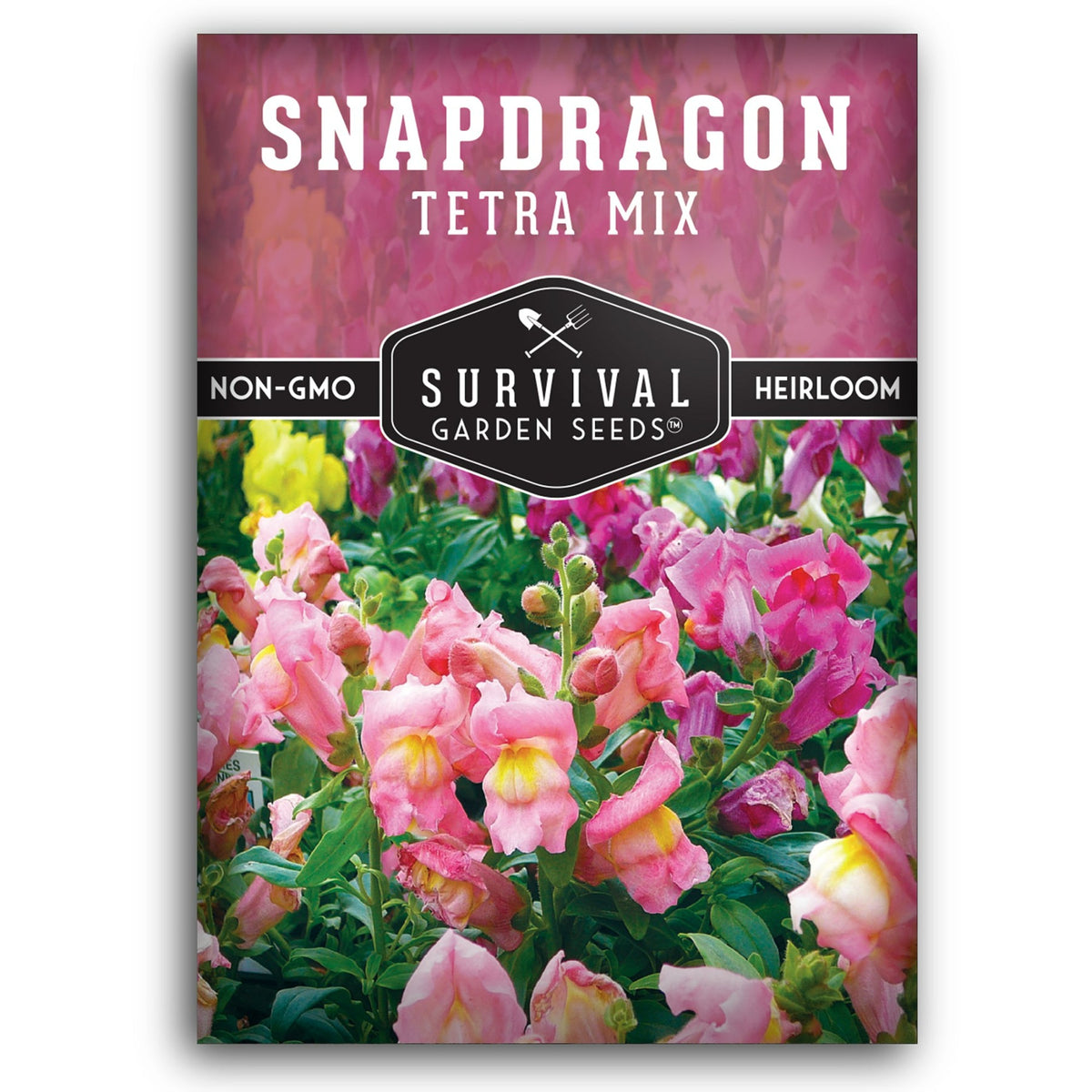 Tetra Mix Snapdragon seeds for planting