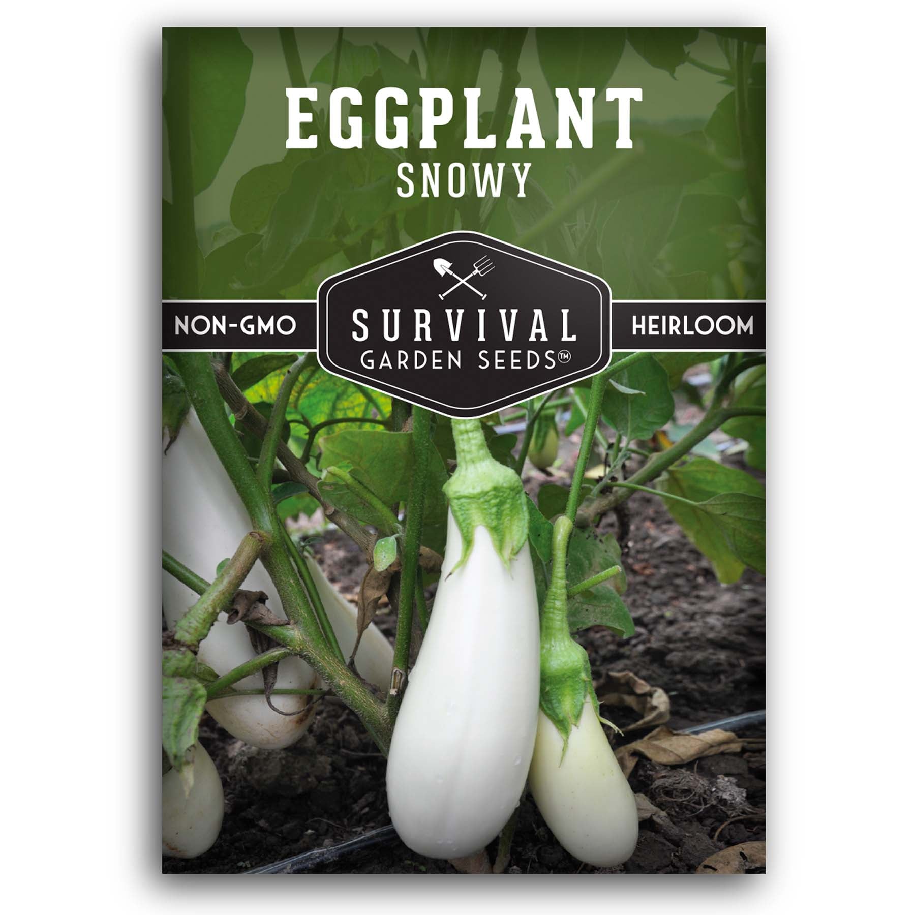 Snowy Eggplant seeds for planting