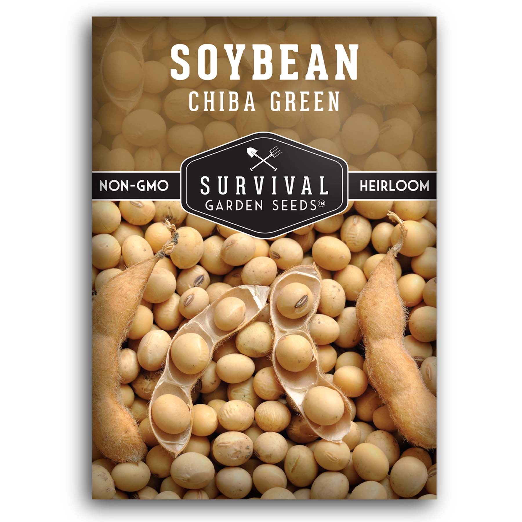 Chiba Green Soybeans for Planting