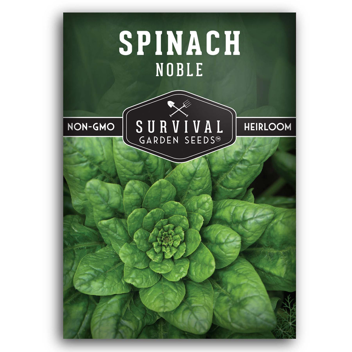 Noble Giant Spinach seeds for planting