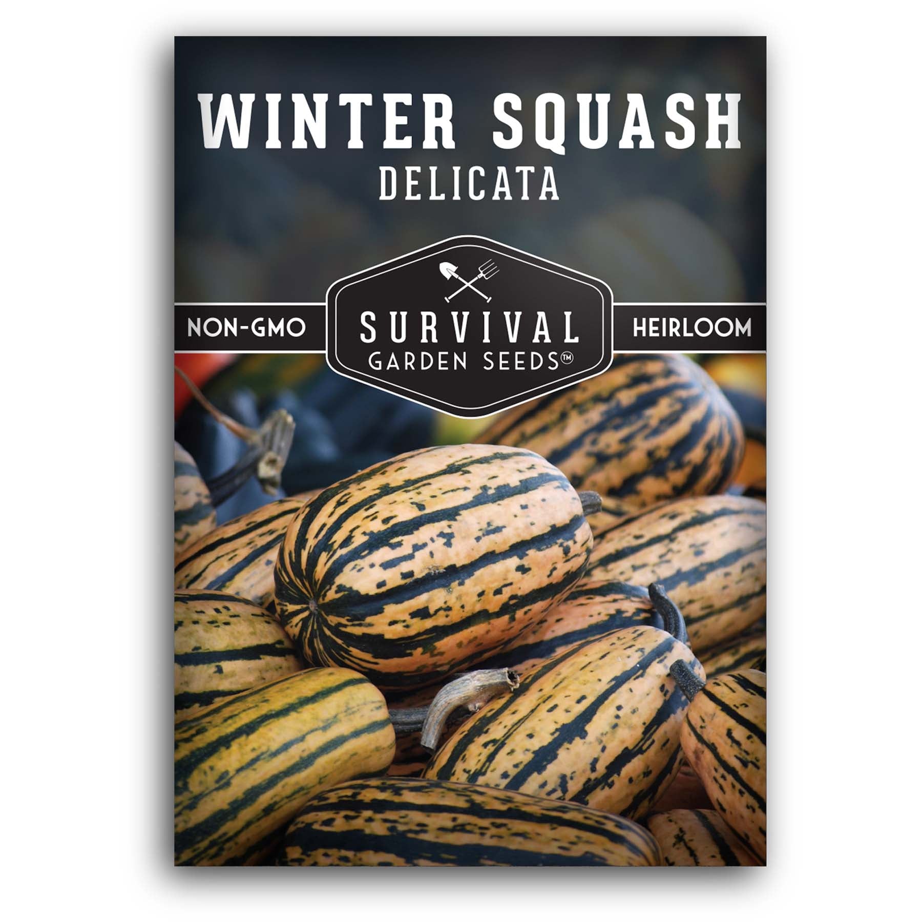 Delicata Winter Squash seeds for planting