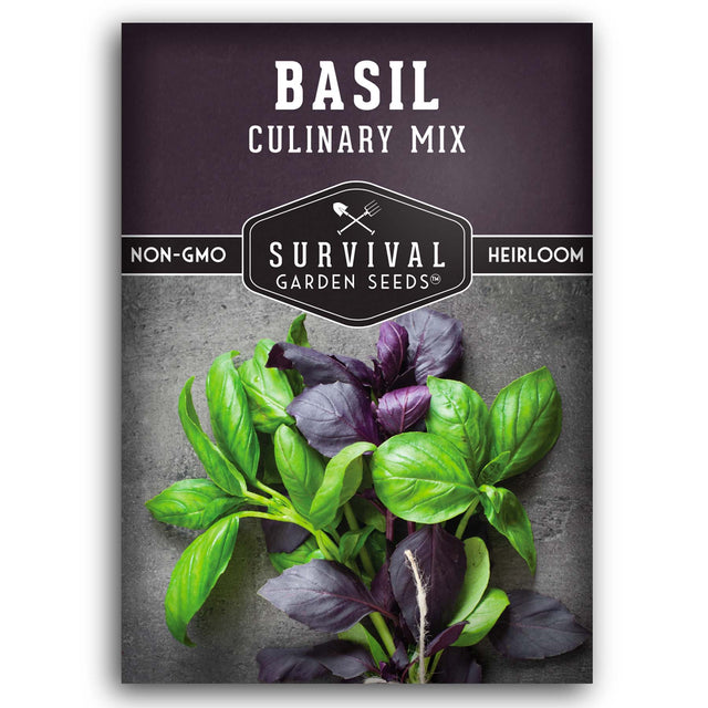 Culinary Mix of Basil Seeds for planting