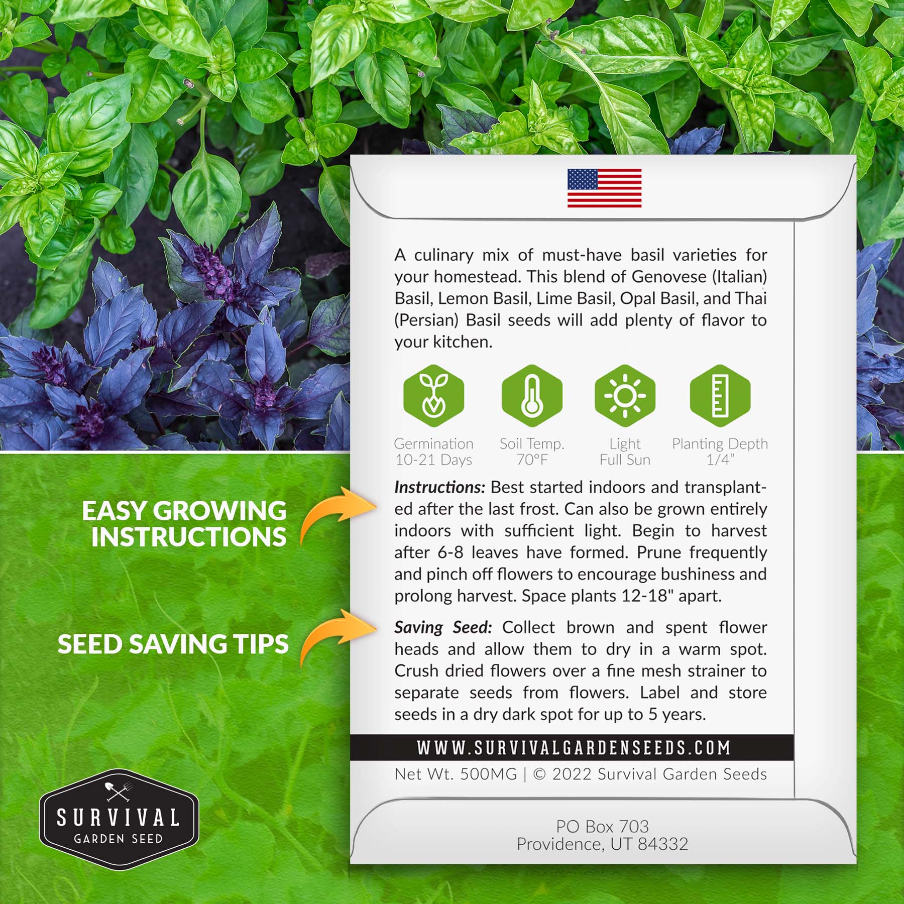 Mother Nature's Seeds – Cheryl's Chefs Blend Basil – 6 Culinary Types – 200+ Seeds