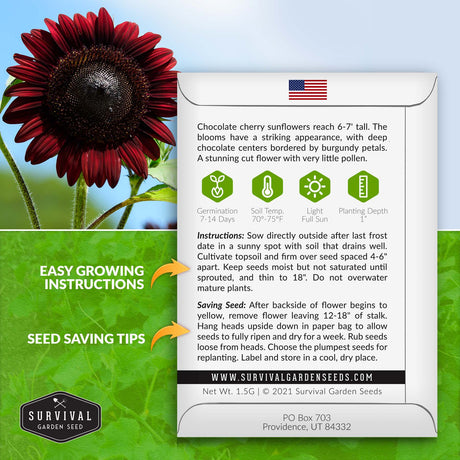 Chocolate Cherry Sunflower seed planting instructions