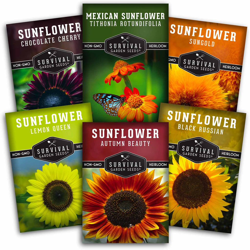 6 Sunflower Collection - Autumn Beauty, Black Russian, Chocolate Cherry, Sungold, Lemon Queen, & Mexican Sunflower Varieties