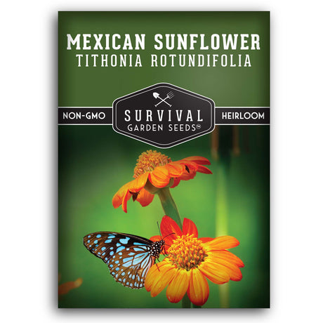 Mexican Sunflower Seeds for planting