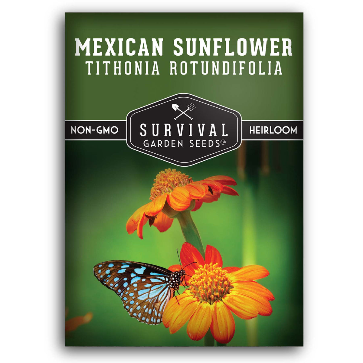 Mexican Sunflower Seeds for planting