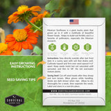 Mexican sunflower planting instructions