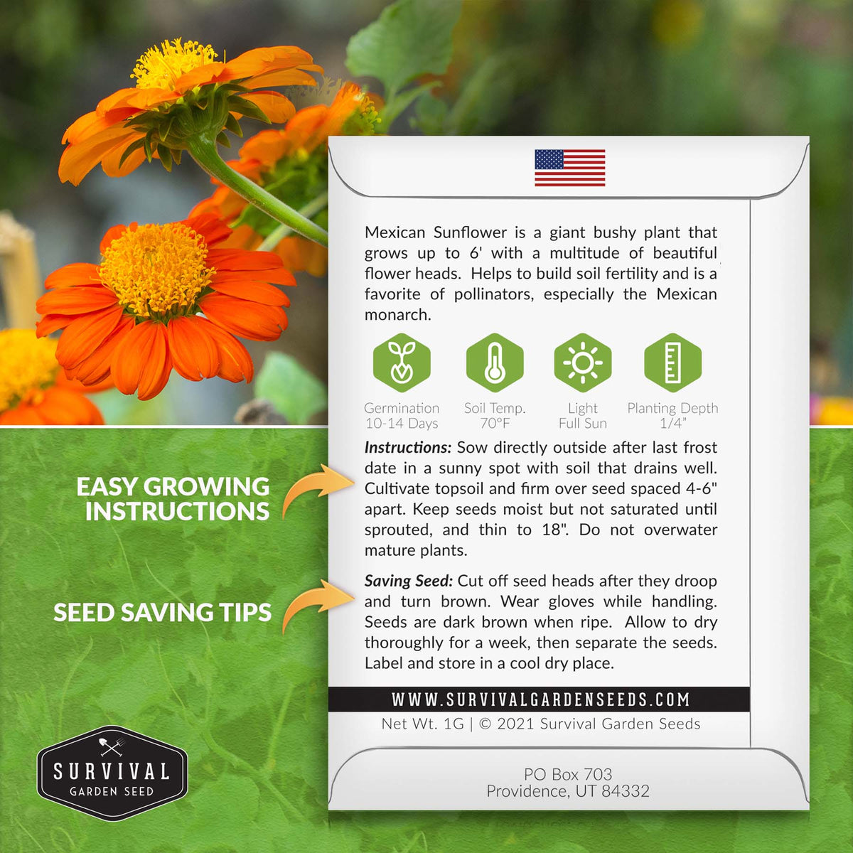 Mexican sunflower planting instructions