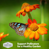 support pollinators for a healthy garden