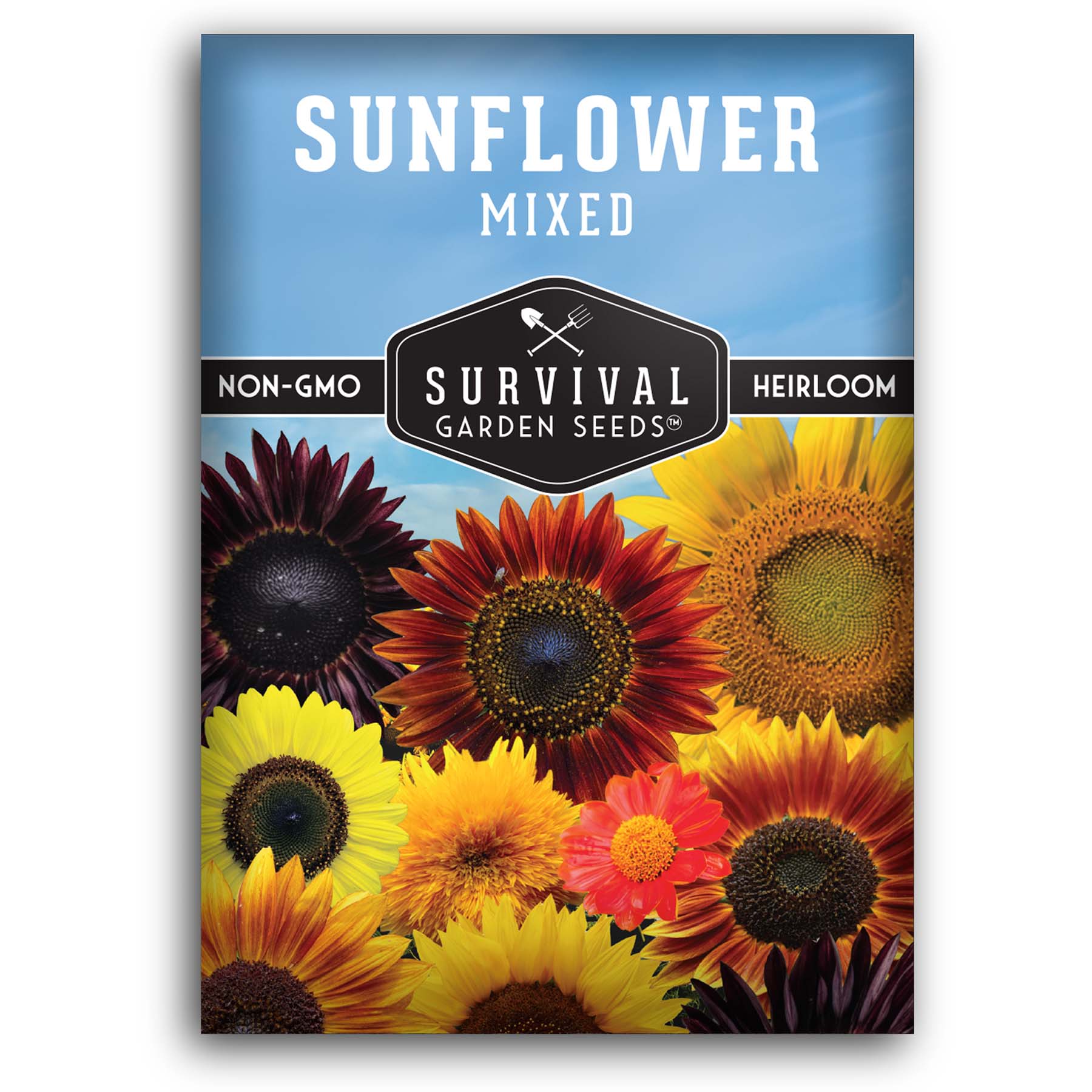 Colorful Sunflower Seed Mix for Pollinator Gardens