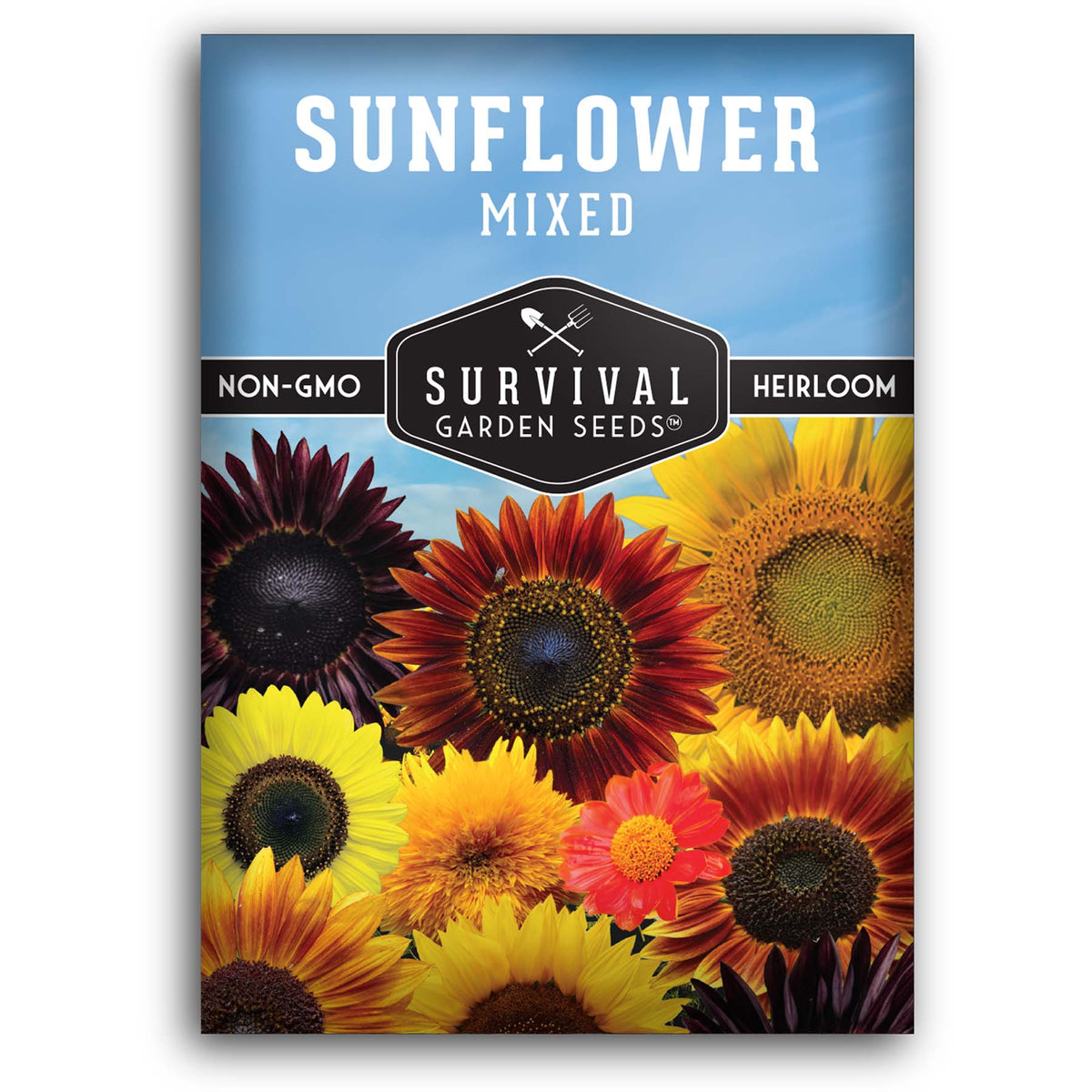 Mixed Sunflower seeds for planting