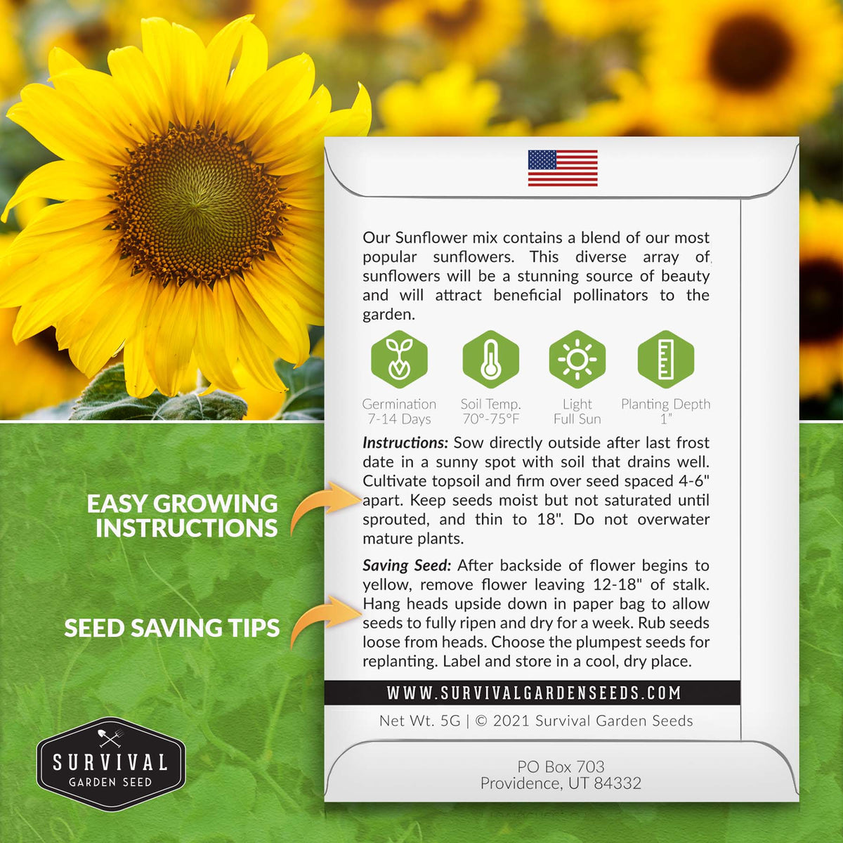 Sunflower seed planting instructions