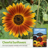 Popular sunflowers in one seed mix