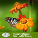 Support pollinators for a healthy garden