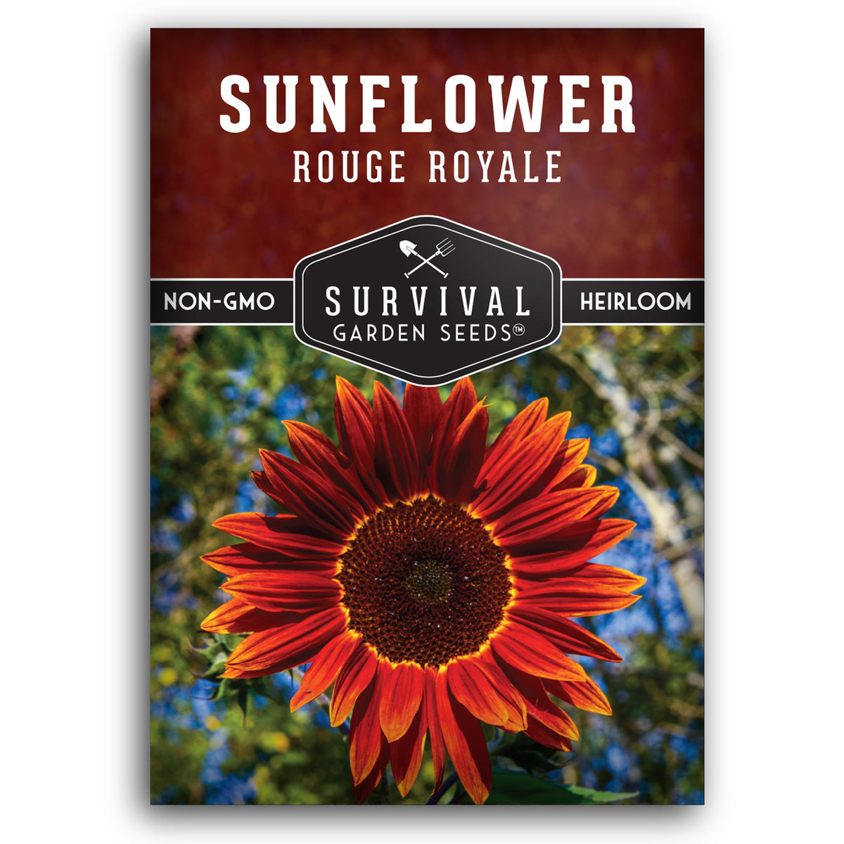 Rouge Royale Sunflower Seeds