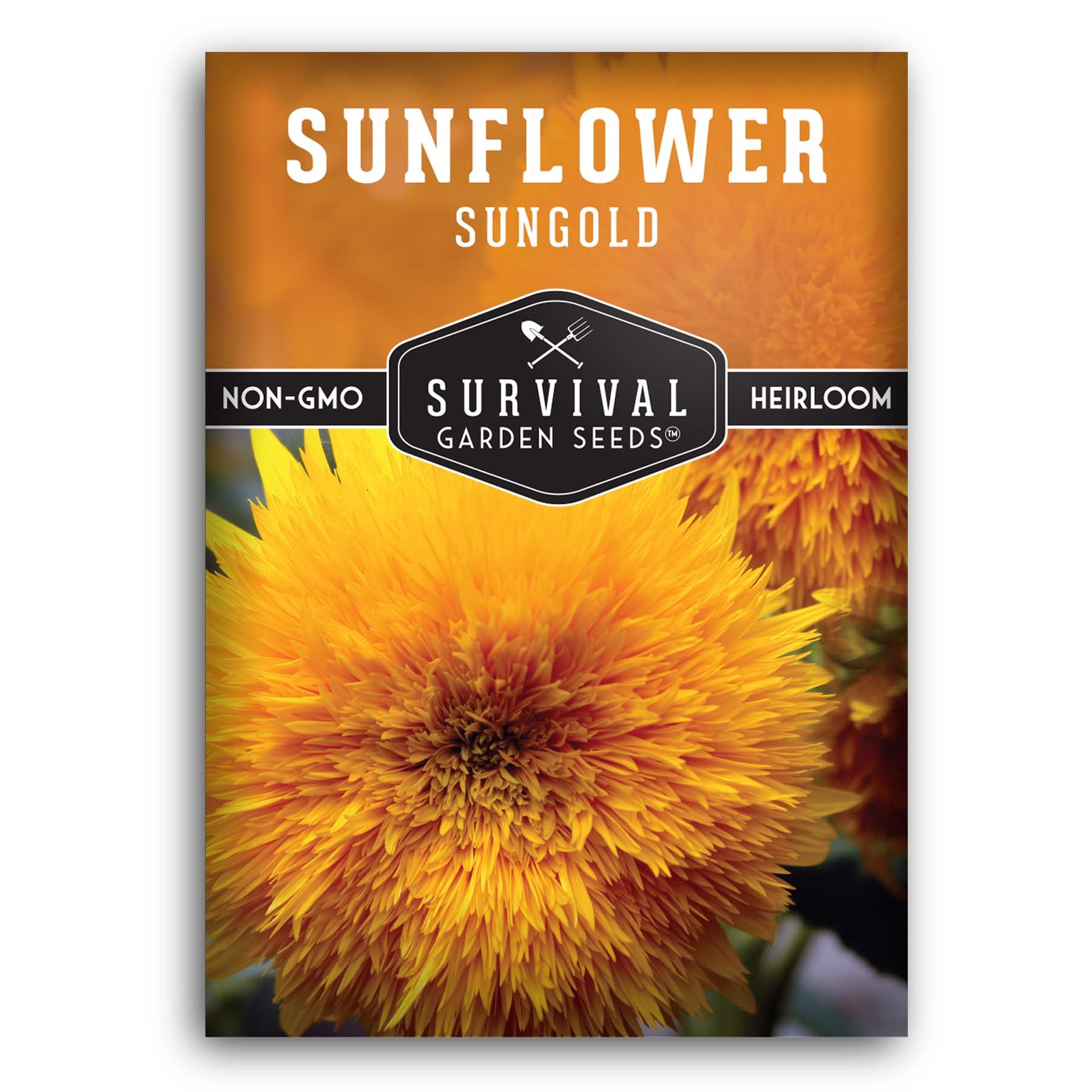 Sungold Teddy Bear Sunflower Seeds – SurvivalGardenSeeds