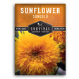 Dwarf Sungold Sunflower seeds for planting