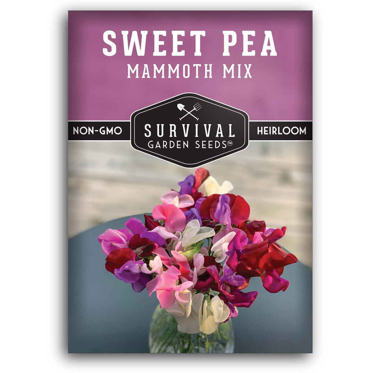 Mammoth Mix of Sweet Pea Flower Seeds