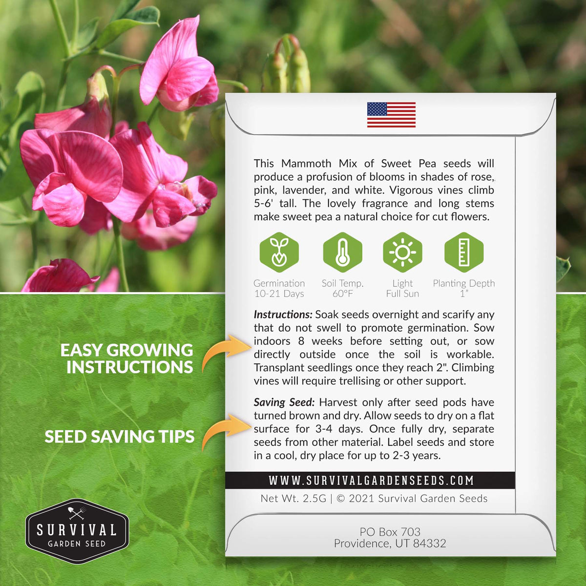 Sweet Pea Growing Instructions