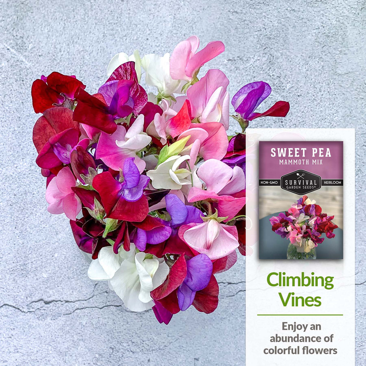 Enjoy an abundance of flowers on climbing vines