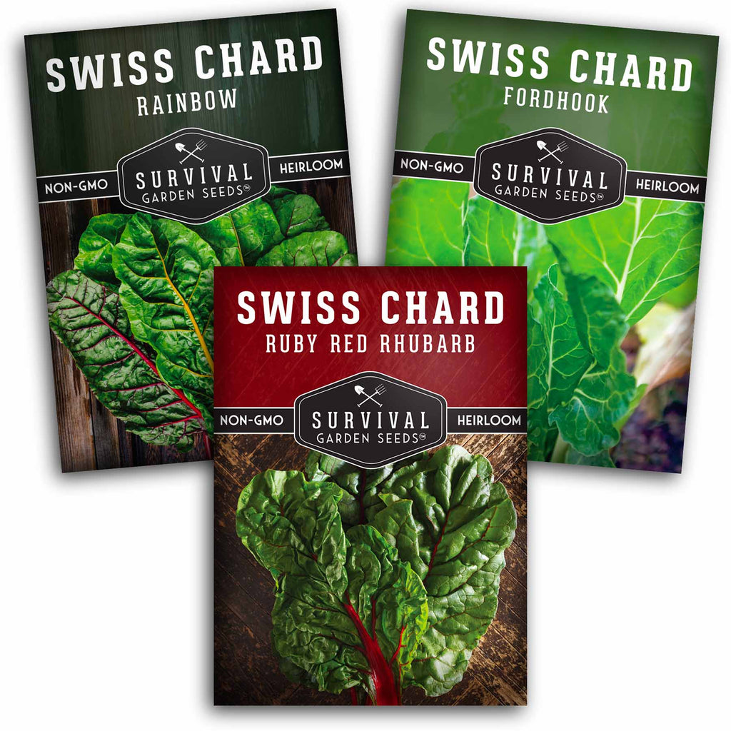 Swiss Chard Seed Collection - 3 Colorful Greens