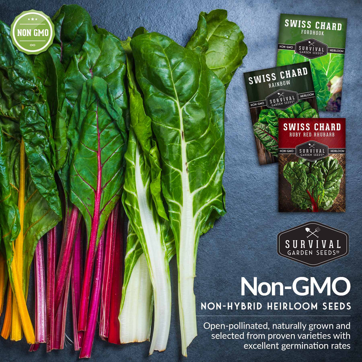 Non-GMO non-hybrid heirloom swiss chard vegetable seeds