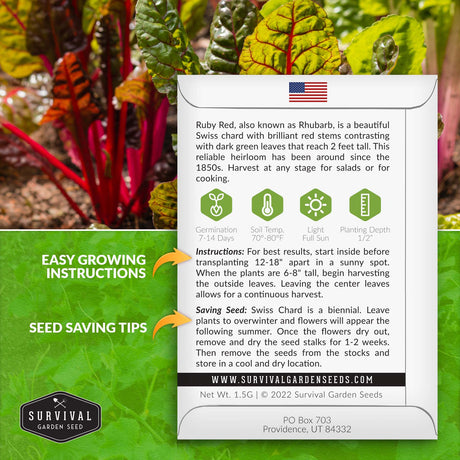 Ruby Red Rhubarb Swiss Chard seed planting instructions