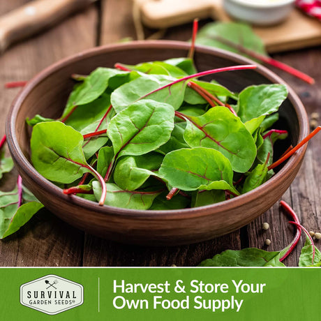 Harvest and store your own food supply