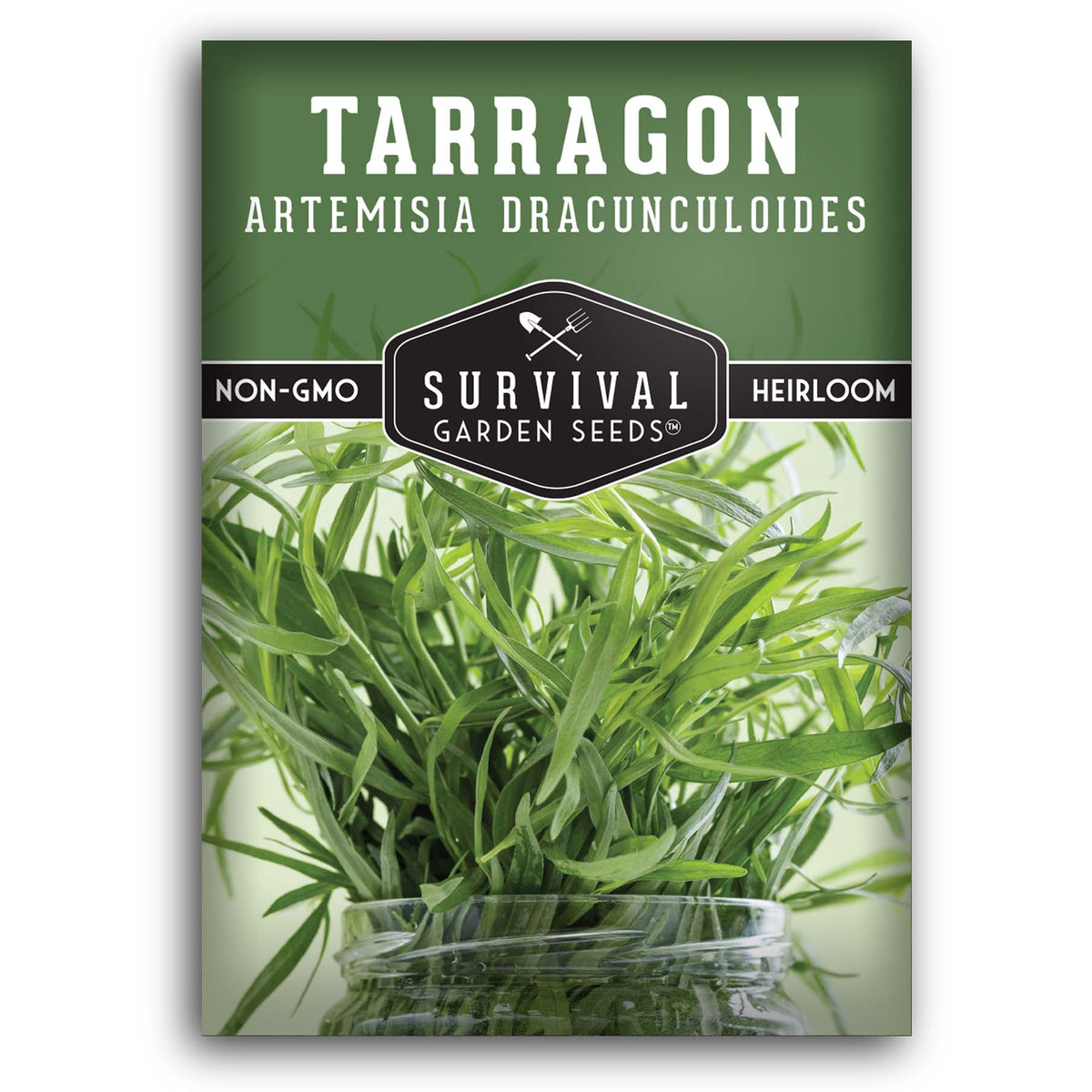 Russian Tarragon seeds for planting