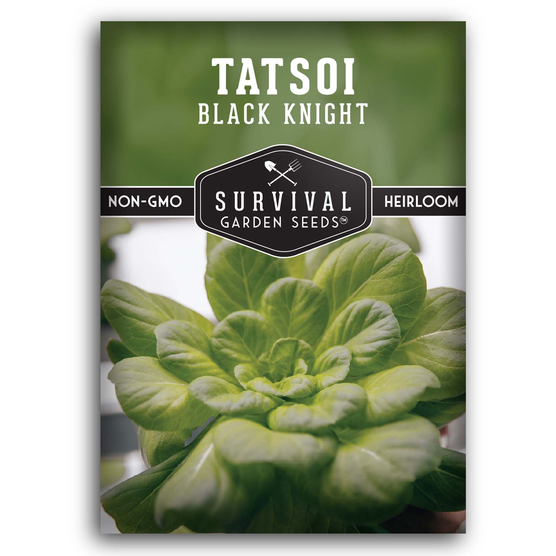 Black Knight Tatsoi seeds for planting