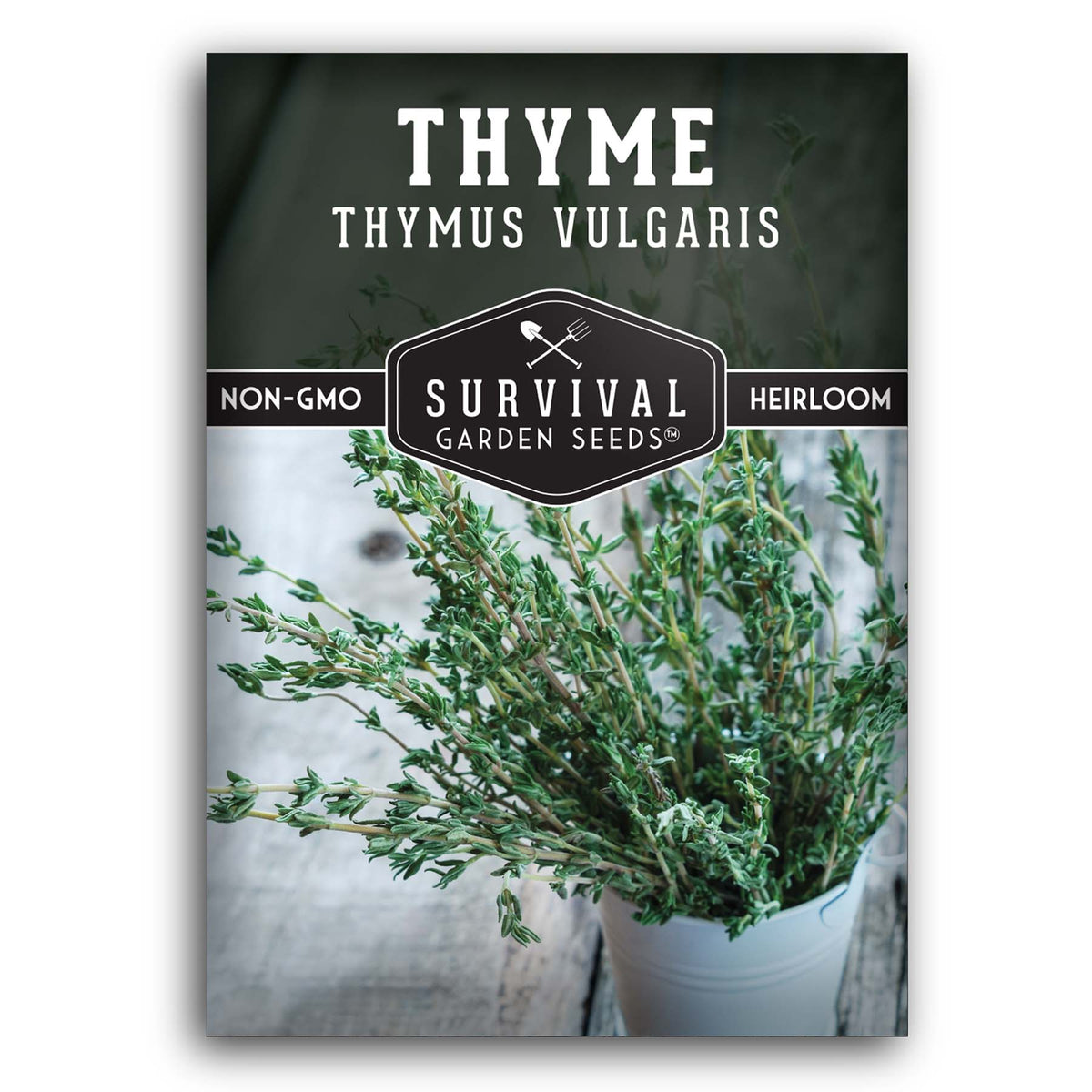 Thyme Seed