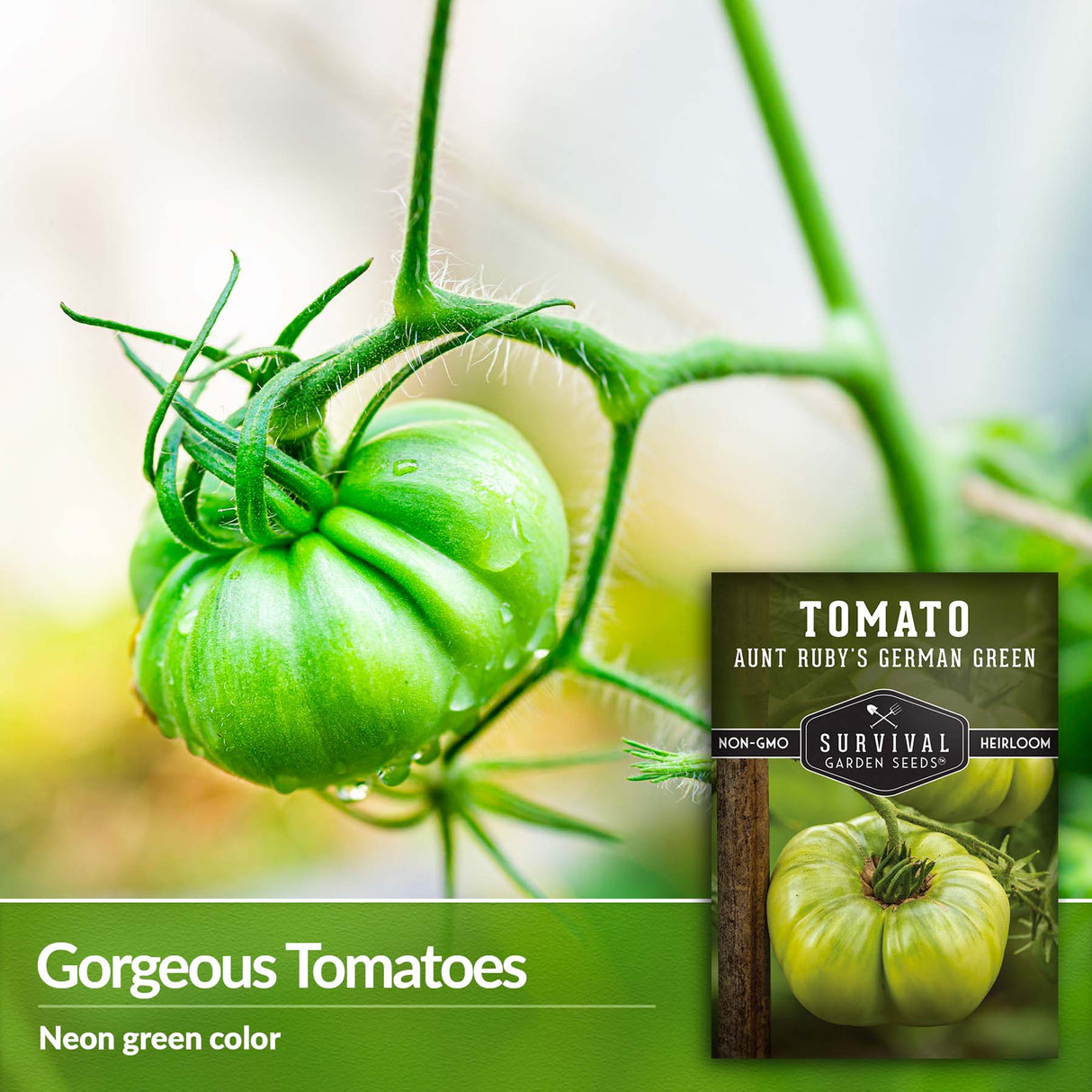 Aunt Ruby's German Green Tomatoes are a bright neon green color