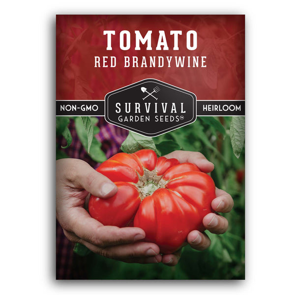 Red Brandywine Heirloom Tomato Seeds (10 Seeds) : : Patio, Lawn &  Garden